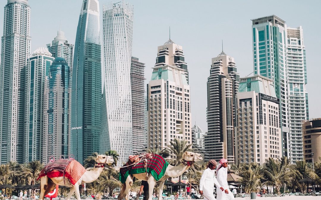 Inside United Arab Emirates with REALITY