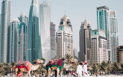 Inside United Arab Emirates with REALITY